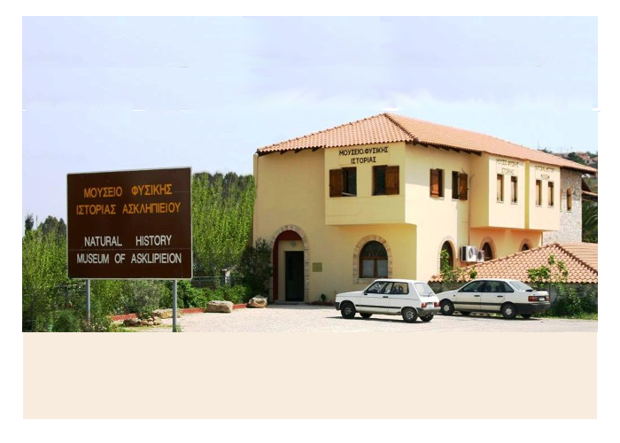 Kotsiomitis Museum of Natural History