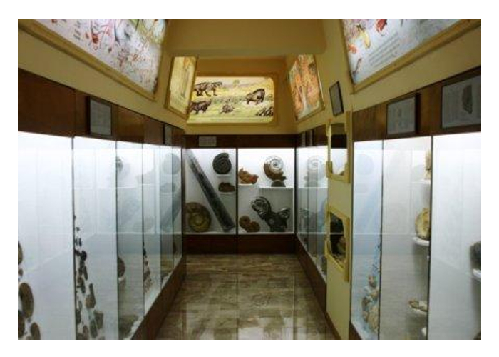 Kotsiomitis Museum of Natural History